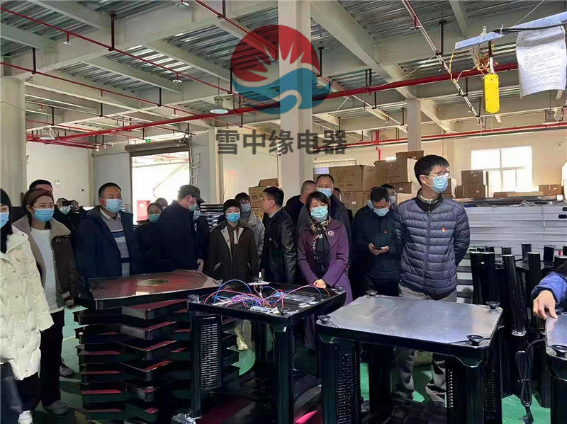 陜西太白縣委組織安排人員，前來我廠區(qū)考察學(xué)習(xí)